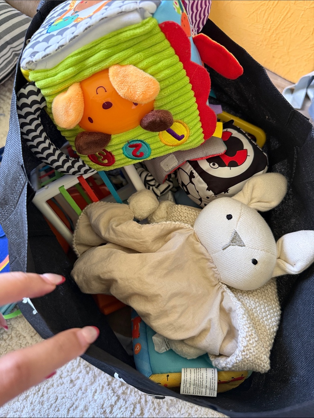 Bag of Baby Toys